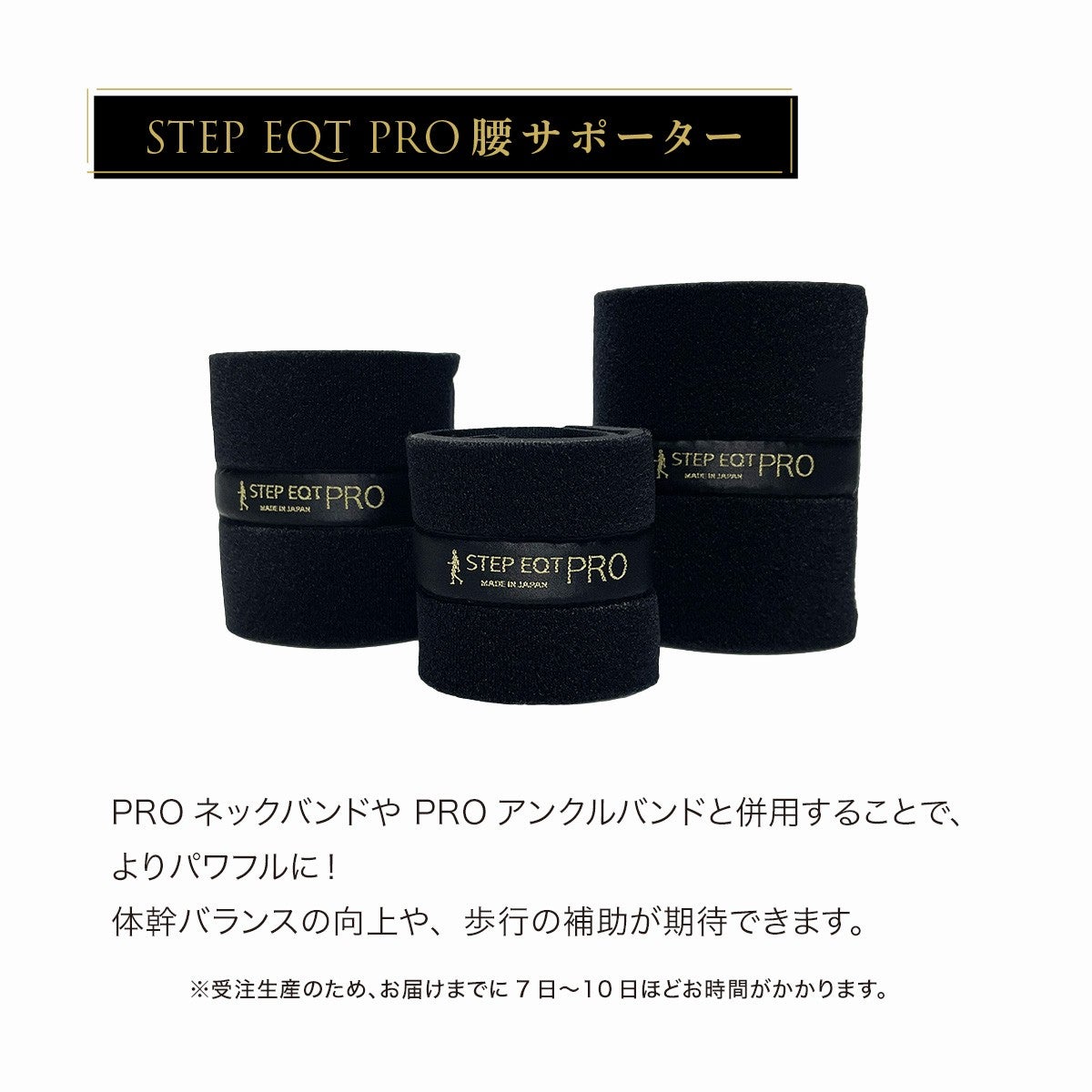 STEP EQT PRO 腰サポーター（ワンちゃん用）SE-310 | 【公式】歩ける