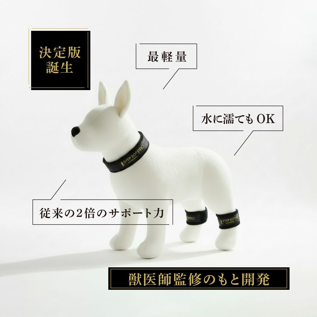 STEP EQT PRO ネックバンド SE-109 | STEP EQT 歩けるくん