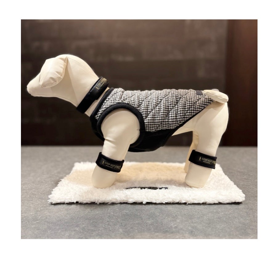 ワンちゃん用 PROアンクルバンド2個セット レギュラーサイズ CH-002