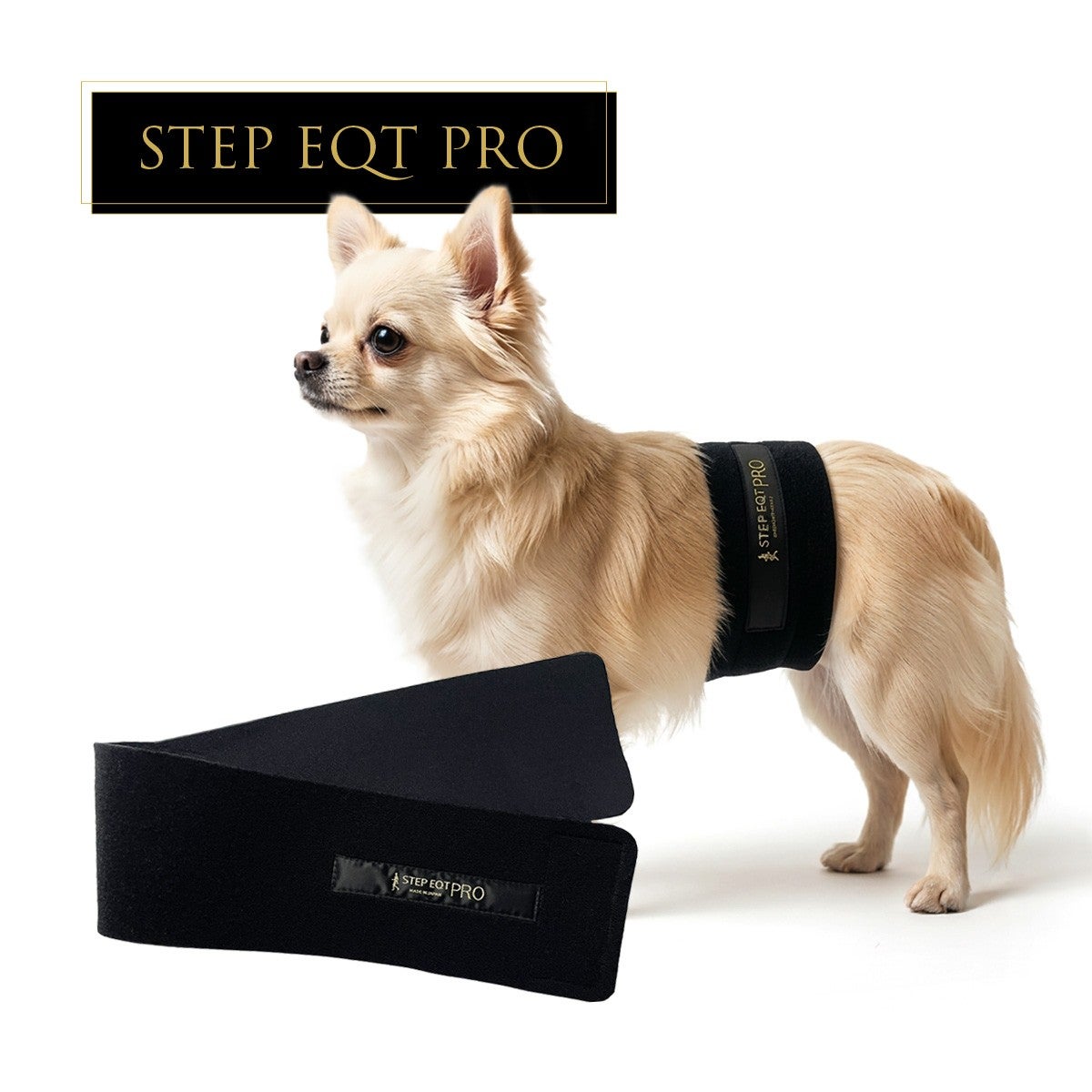 STEP EQT 歩けるくんセット【新品未使用】 公式】歩けるくん｜ペット用商品一覧