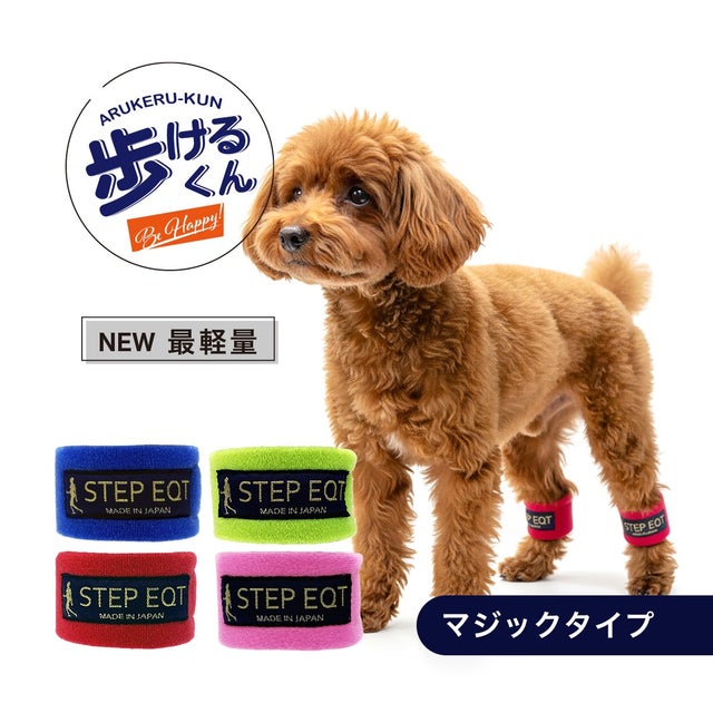 歩けるくん（FOR DOG） | 【公式】歩けるくん STEP EQTオンラインストア