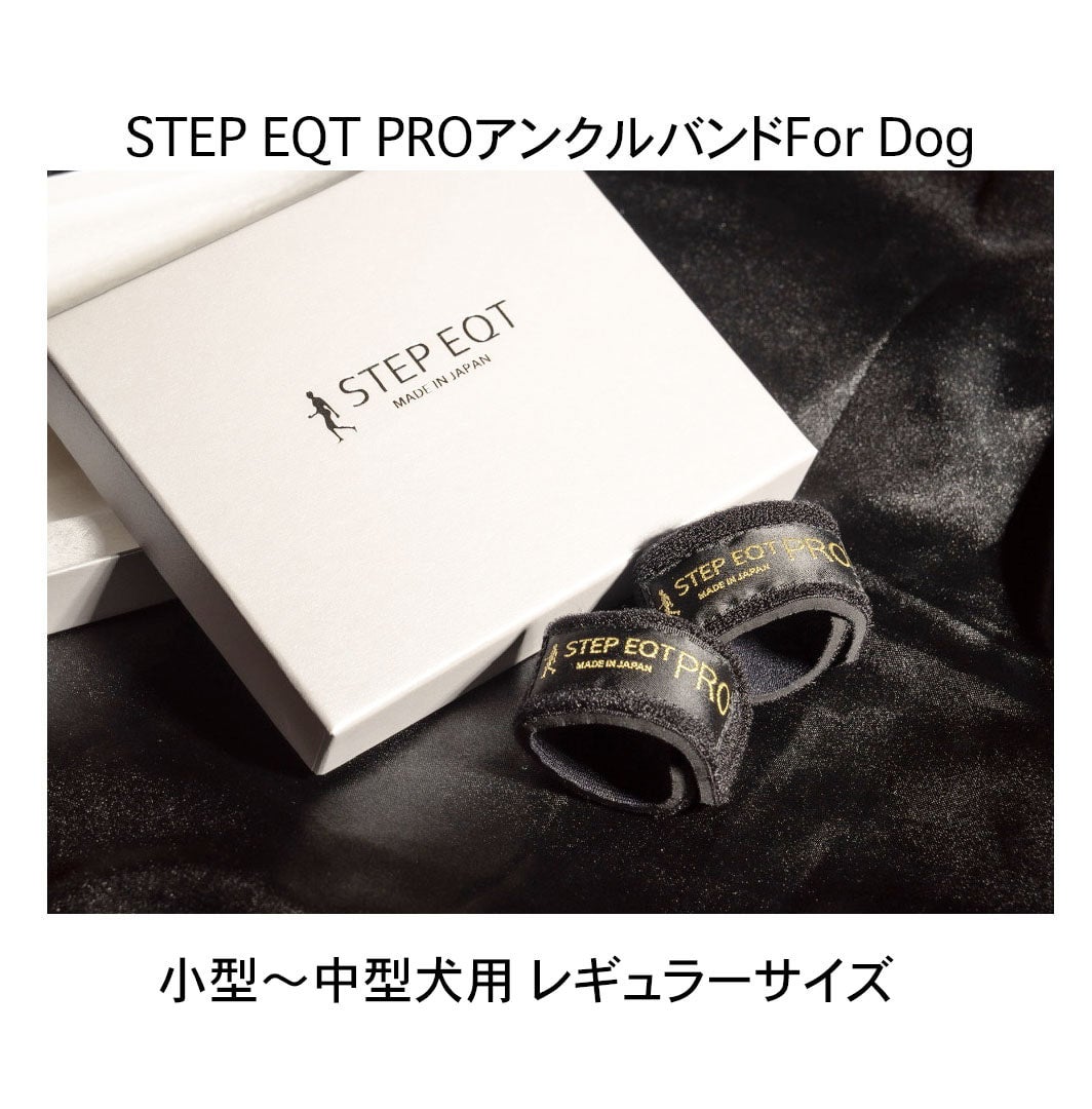ワンちゃん用 PROアンクルバンド2個セット レギュラーサイズ CH-002