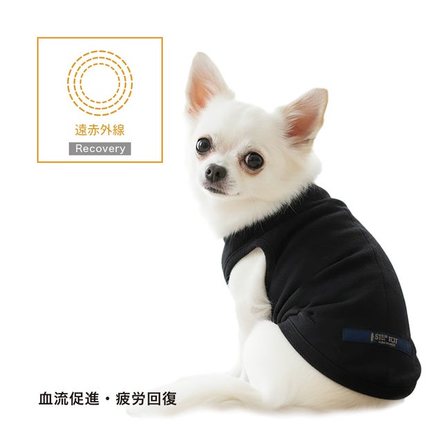 STEP EQT PRO 犬用リカバリーウェア＆バンドセット FOR DOG【ワンちゃん】 | 【公式】歩けるくん STEP EQTオンラインストア