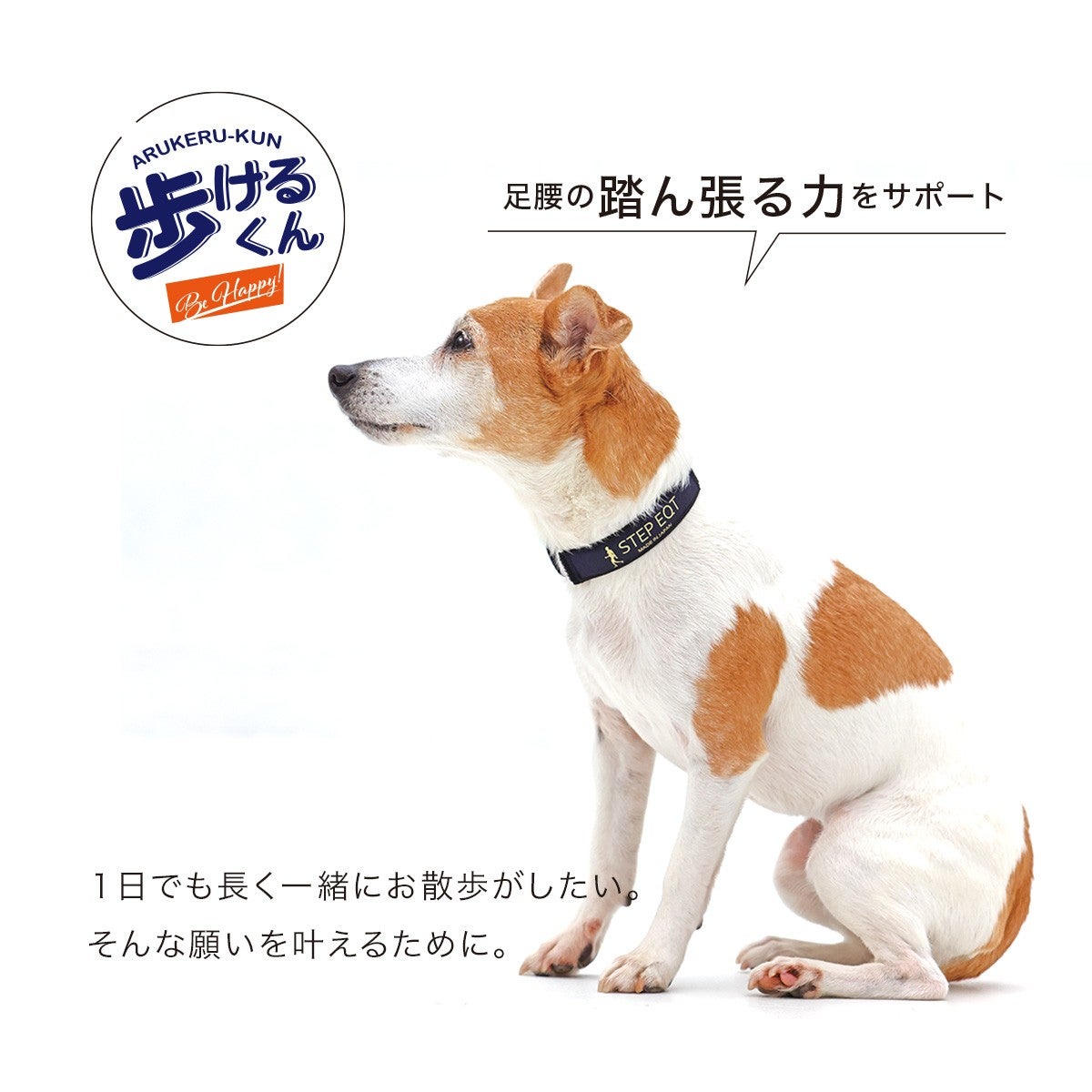 歩けるくん 最軽量！アンクルバンド 2個セット SE-108 歩けるくん 最軽量！アンクルバンド 2個セット SE-108 | 【公式