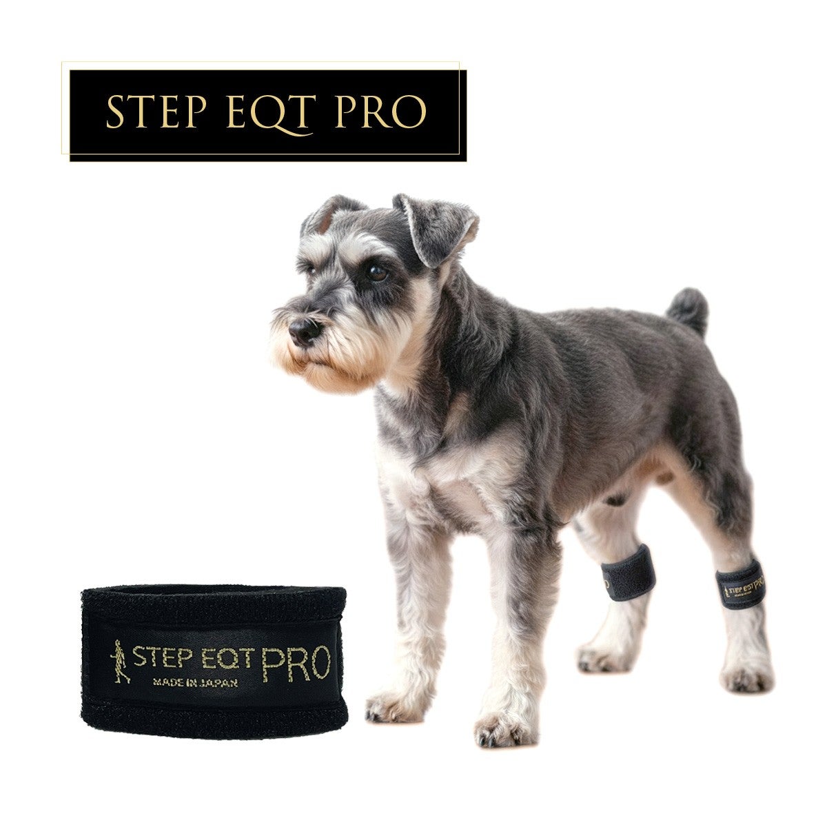 歩けるくん　STEP EQT PRO アンクルバンド（2個セット）レギュラー ワンちゃん用EQT PROアンクルバンド／STEP EQT ｜わん子ん家ひまカフェ