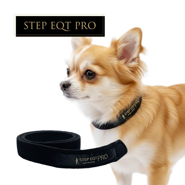 FOR DOG（ワンちゃん） | STEP EQT 歩けるくん
