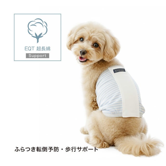 FOR DOG【ワンちゃん】 | 【公式】歩けるくん STEP EQTオンラインストア