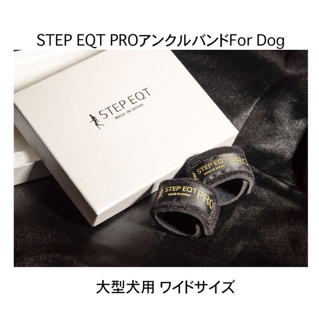 歩けるくんSTEP EQT 超長綿腹巻ボーダー柄ブルーSE-309奇跡の自力歩行 公式】歩けるくん|商品一覧