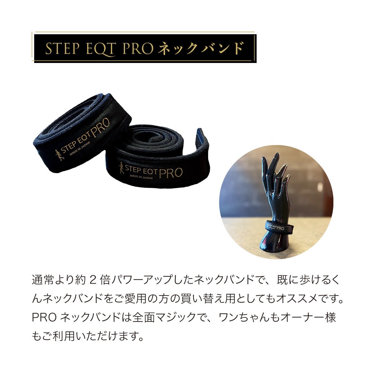 STEP EQT PRO ネックバンド SE-109 | STEP EQT 歩けるくん