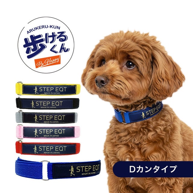 歩けるくん | STEP EQT 歩けるくん